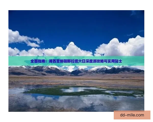 教你快速查阅最新欧冠射手榜的权威方法与实用渠道全面指南解析