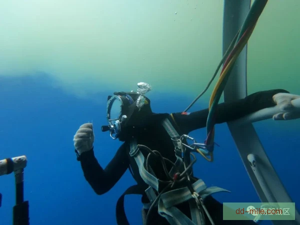 潜水自然水域适应，掌握技巧从容探索水下世界